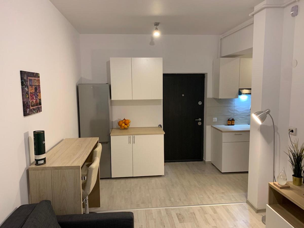 בוקרשט Ray Luxury Apartment Close To Presidential Palace מראה חיצוני תמונה